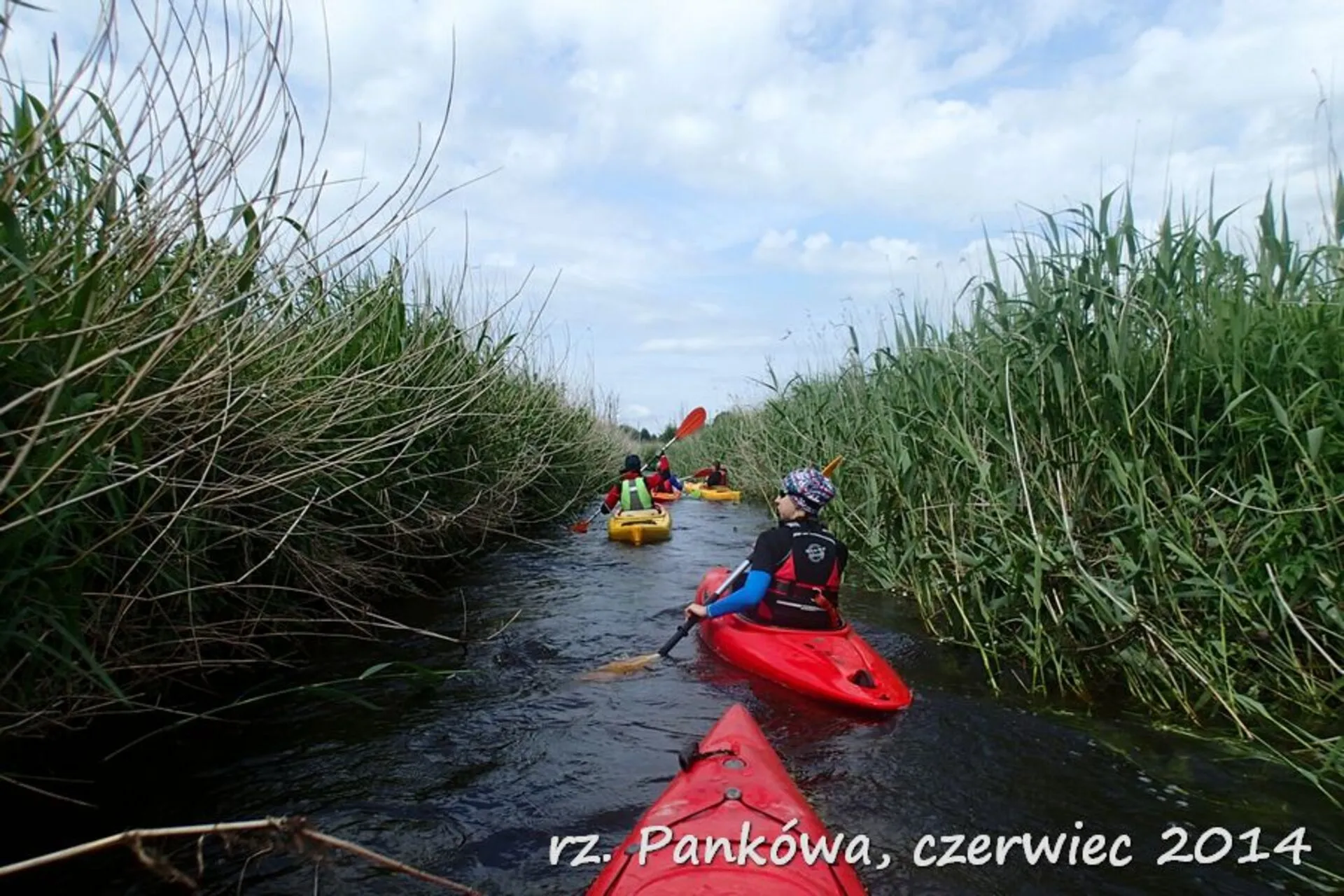 Warta Kajaki Pankówka